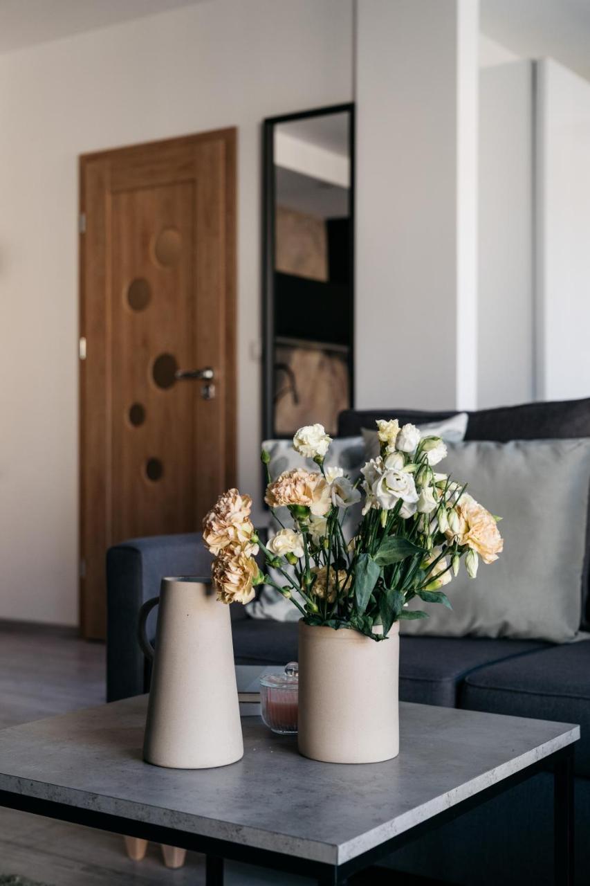 קרקוב Vistula Apartment - Loftaffair מראה חיצוני תמונה
